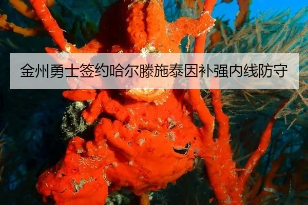 jin-zhou-yong-shi-qian-yue-ha-er-teng-shi-tai-yin-bu-qiang-nei-xian-fang-shou-3-225.jpg